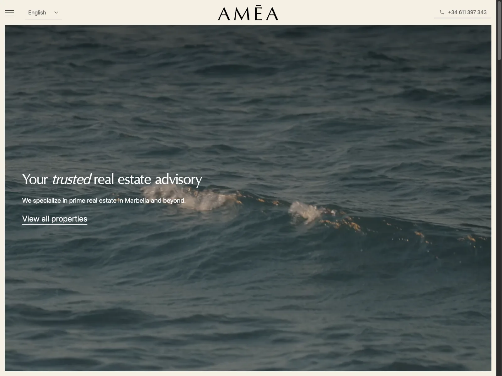 Homepage of the Amea Estate website